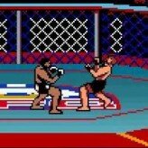 ultimate fighting championship game