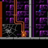 tom & jerry (and tuffy) game