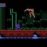 batman – the video game game