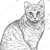 hidden cats game