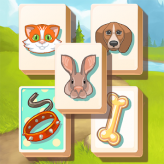 petjong game